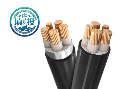 WWW.DTXL.CN