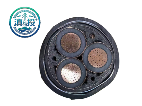WWW.DTXL.CN